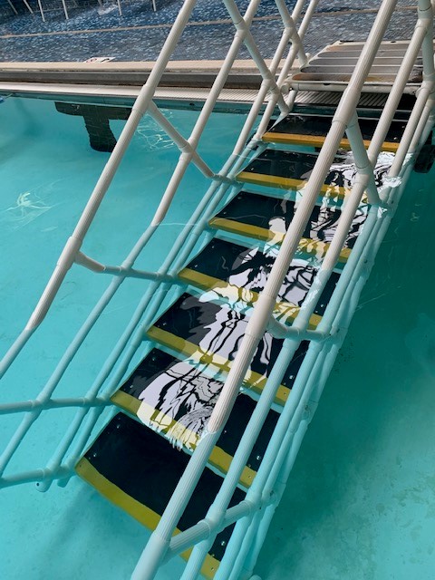 Aquatrek2 steps with skid plates